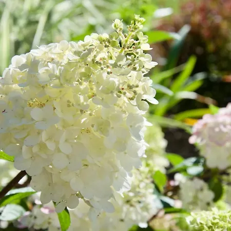 Le Champ Libre Dompierre-Sur-Yon