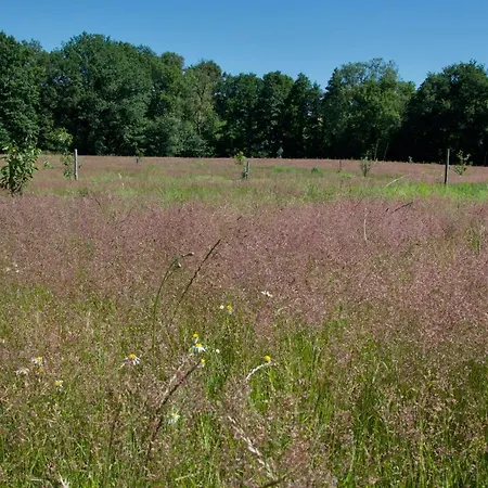 Le Champ Libre Dompierre-Sur-Yon