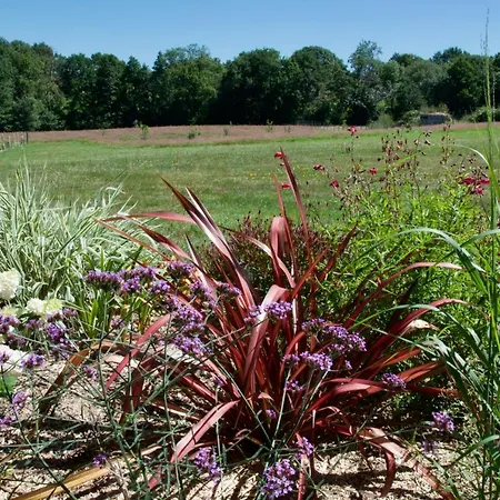 Dom wakacyjny Le Champ Libre Dompierre-Sur-Yon