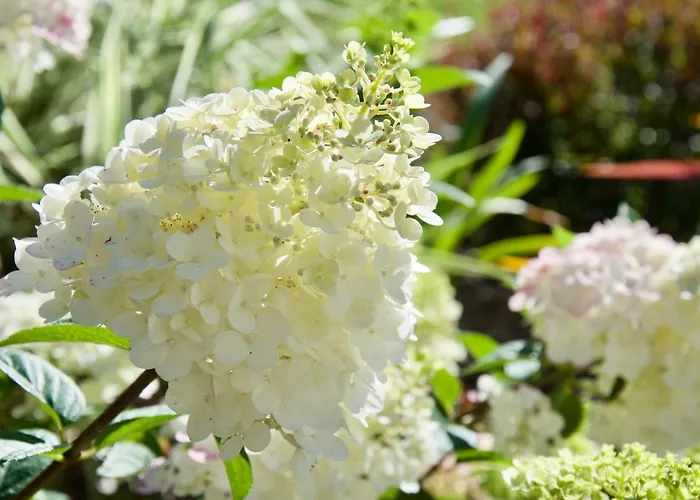 Le Champ Libre Dompierre-Sur-Yon