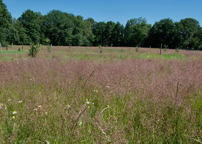 Le Champ Libre Dompierre-Sur-Yon