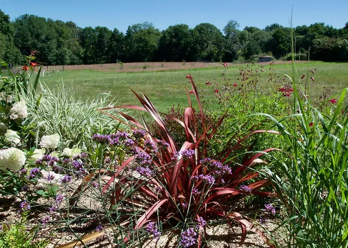 Casa vacanze Le Champ Libre Dompierre-Sur-Yon